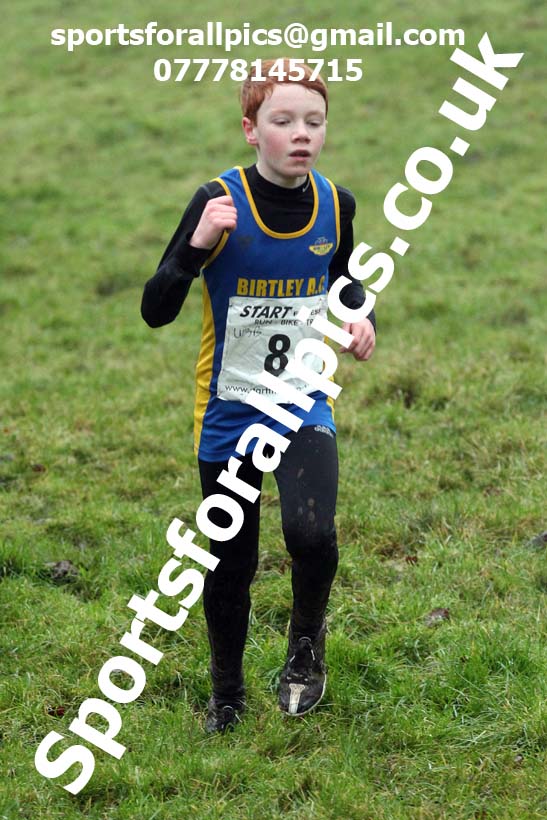 Boys under-13s, NECAA Junior Cross Country Relays, Thornley Farm, Peterlee, Saturday, December 12th. Photo: David T. Hewitson/Sports for All Pics